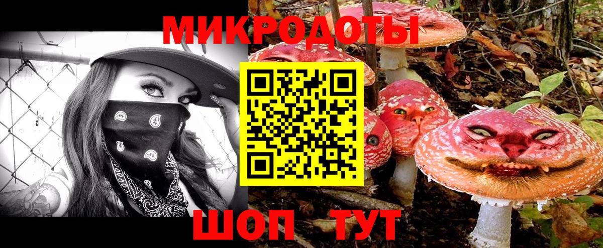 Лыткарино  Галлюциногенные грибы прущие грибы  Вход с VPN 