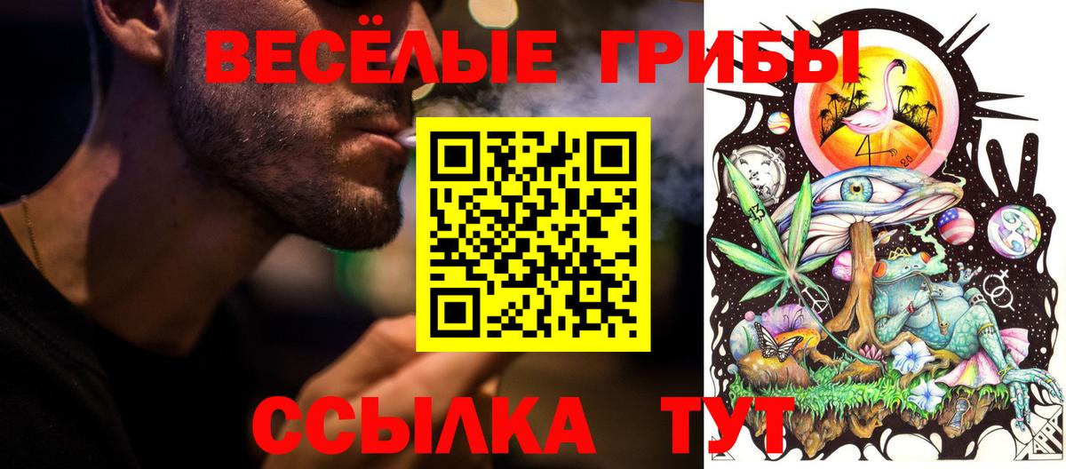 Галлюциногенные грибы Cubensis Лыткарино